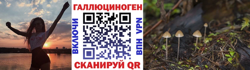 Псилоцибиновые грибы MAGIC MUSHROOMS  купить закладку  Остров 